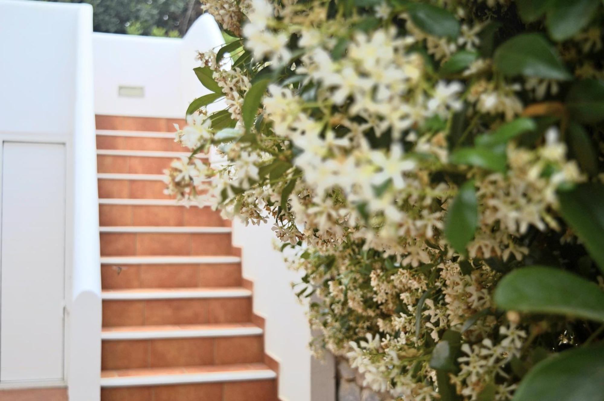 Malvazios Villas #7 Γύθειο Εξωτερικό φωτογραφία